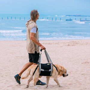 Dog Lift Harness for Large Dogs
